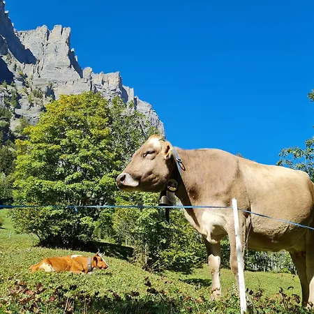 Athosia Διαμέρισμα Leukerbad