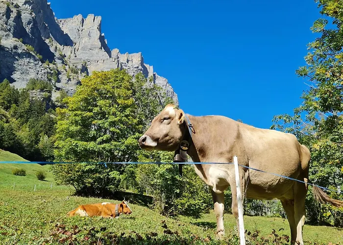 Athosia Διαμέρισμα Leukerbad