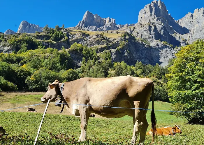 Athosia Appartement *